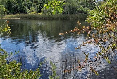 Cedar Street NE Steinhatchee FL 32359