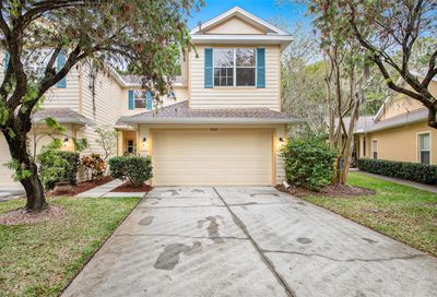 9087 Iron Oak Avenue Tampa FL 33647