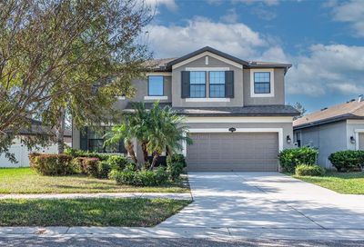 11525 Scarlet Ibis Place Riverview FL 33569