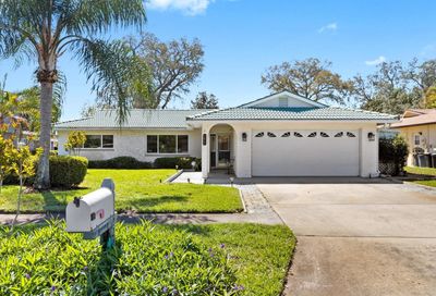 1411 Tallahassee Drive Tarpon Springs FL 34689