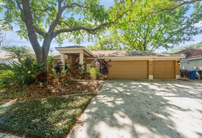 9323 Wellington Park Circle Tampa FL 33647