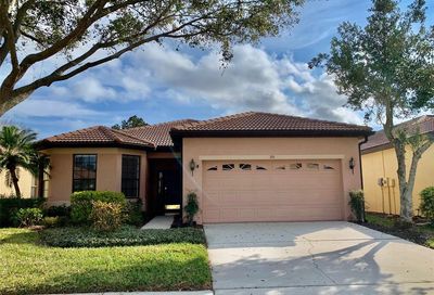 310 Silver Falls Apollo Beach FL 33572
