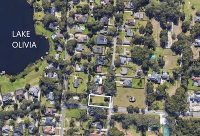 1403 Dingens Avenue Windermere FL 34786