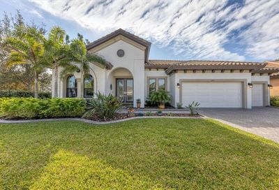 11891 Frost Aster Drive Riverview FL 33579