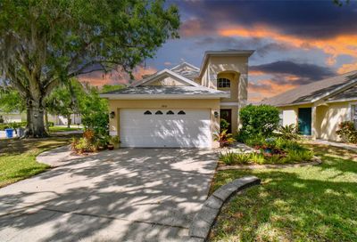5856 Wrenwater Drive Lithia FL 33547