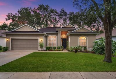 228 Taylor Bay Lane Brandon FL 33510