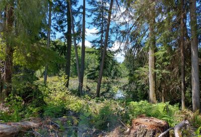 Wright Road Tenino WA 98589