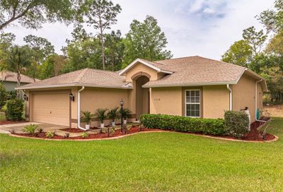 9728 SW 196th Circle Dunnellon FL 34432