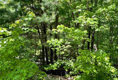 Teel Mountain Lane Cleveland GA 30528