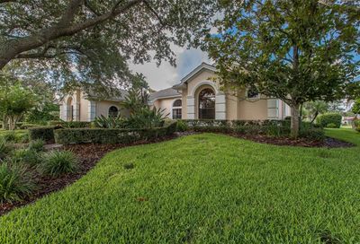 10653 Pontofino Circle Trinity FL 34655