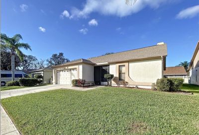 13107 Faulkner Place Riverview FL 33579