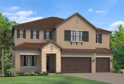 29914 Picana Lane Wesley Chapel FL 33543