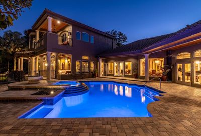17816 Willow Lake Drive Odessa FL 33556