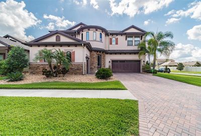 813 Terra Vista Street Brandon FL 33511