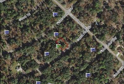 00 Guava Place Drive Ocklawaha FL 32179
