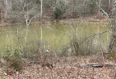 211 Stewart Cove Road Clarkesville GA 30523