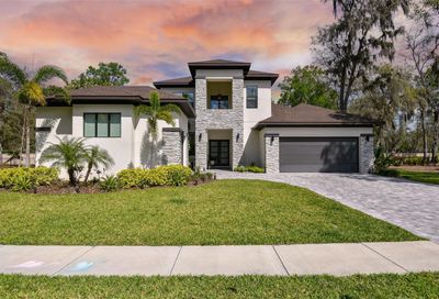 930 Shoals Landing Drive Brandon FL 33511