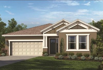 2516 Leafwing Court Palm Harbor FL 34683