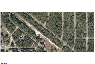 00 Locust Ter Trail Ocala FL 34472