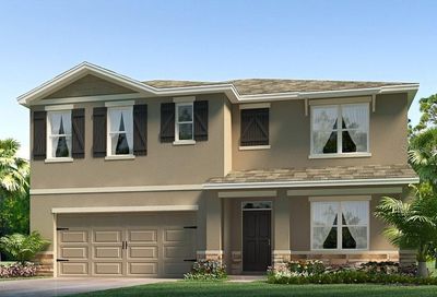 3509 Wild Bramble Court Plant City FL 33565