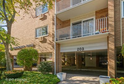 203 N Kenilworth Avenue Oak Park IL 60302