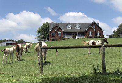 1112 Allisona Rd Eagleville TN 37060