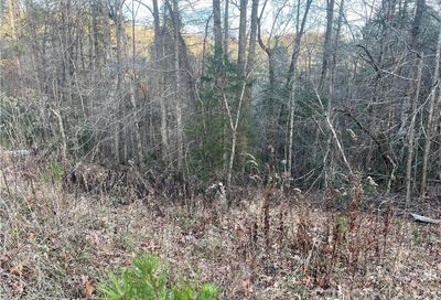 Roadrunner Circle Lake Lure NC 28746