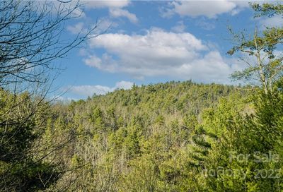 38 Bear Paw Ridge Road Zirconia NC 28790