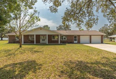 16218 N Fringe Tree Drive Spring Hill FL 34610
