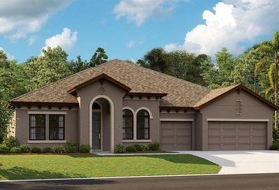 6273 Hidden Branch Drive Apollo Beach FL 33572