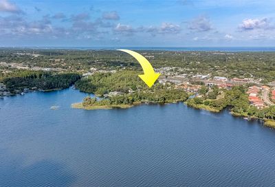 Cyprus Drive Palm Harbor FL 34684