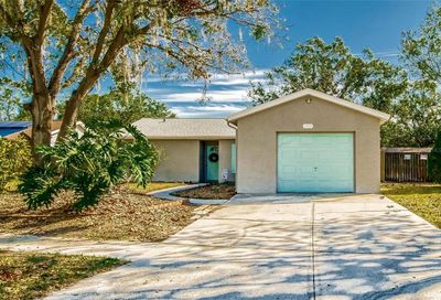 11503 Blackbark Drive Riverview FL 33579