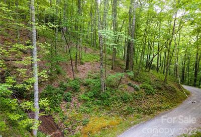 Lt 12c Von Trapp Lane Tuckasegee NC 28783