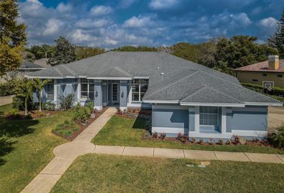 3967 Arlington Drive Palm Harbor FL 34685