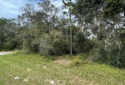 1329 Congo Court Kissimmee FL 34759