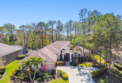 10563 Greensprings Drive Tampa FL 33626