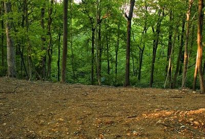 Jocelyn Hollow Rd. Nashville TN 37205