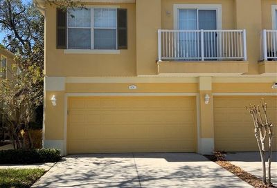 6787 Breezy Palm Drive Riverview FL 33578