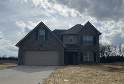 3038 Ronstadt Dr Christiana TN 37037