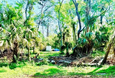 Pearl Street New Smyrna Beach FL 32168