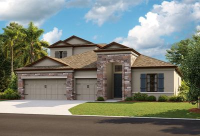 12873 Tortoise Shell Place Riverview FL 33579