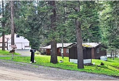 59936 River Canyon Rd Imnaha OR 97842