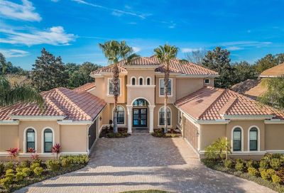1031 Toscano Drive Trinity FL 34655
