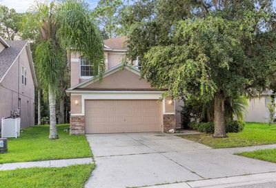 35142 Meadow Reach Drive Zephyrhills FL 33541