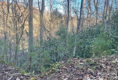 Shannons Walk Lake Lure NC 28746