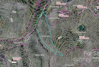 99999 Mountain Forest Estates Road Sylva NC 28779
