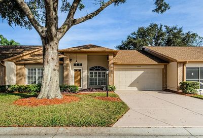 9935 Brookdale Drive New Port Richey FL 34655
