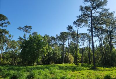 Pollard Road Winter Haven FL 33884