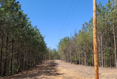 3960 Old Hohenwald Rd Linden TN 37096
