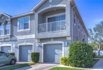 8812 Moonlit Meadows Loop Riverview FL 33578